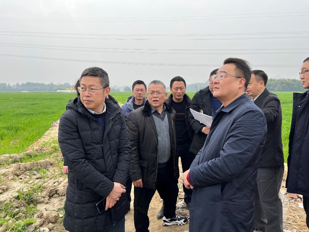 省社、省供投集團領導調研青白江區(qū)四川現代供銷種業(yè)園區(qū)