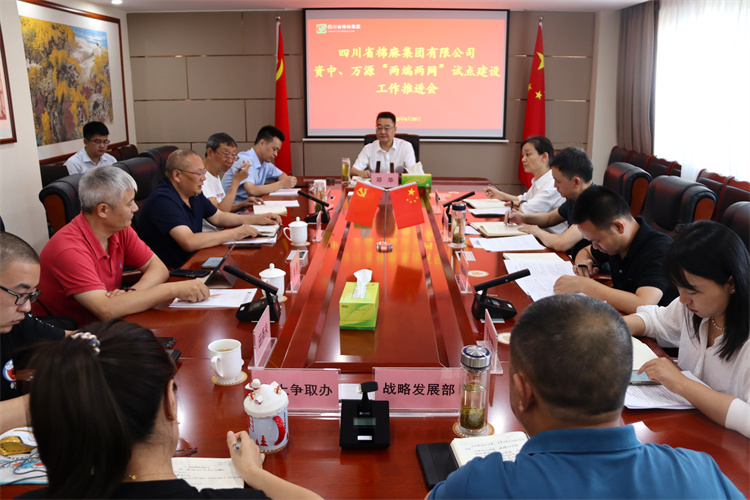 鄧華主持召開資中、萬源“兩端兩網(wǎng)”試點建設工作推進會