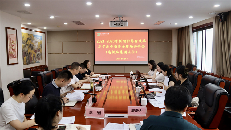 集團公司召開2021-2023年供銷社綜合改革及發(fā)展專項資金現場評價會
