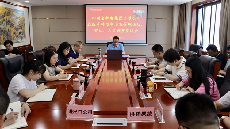 集團公司召開在改革轉型中涉及管理板塊、架構、人員調整座談會