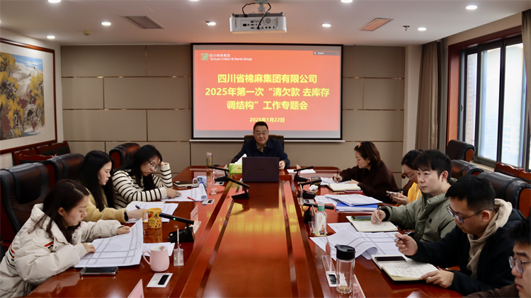 集團公司召開2025年第一次“清欠款、去庫存、調(diào)結(jié)構(gòu)”工作專題會